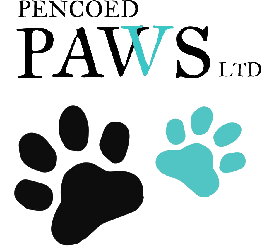 Pencoed Paws logo design